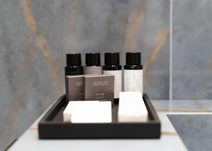 招待所 Insogno 4*