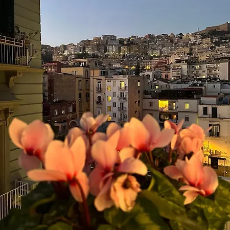 Insogno Guest house